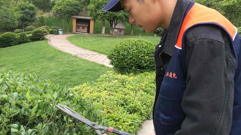 对于已经长出的杂草，可以使用除草剂进行清除。选择除草剂时，应注意以下几点：