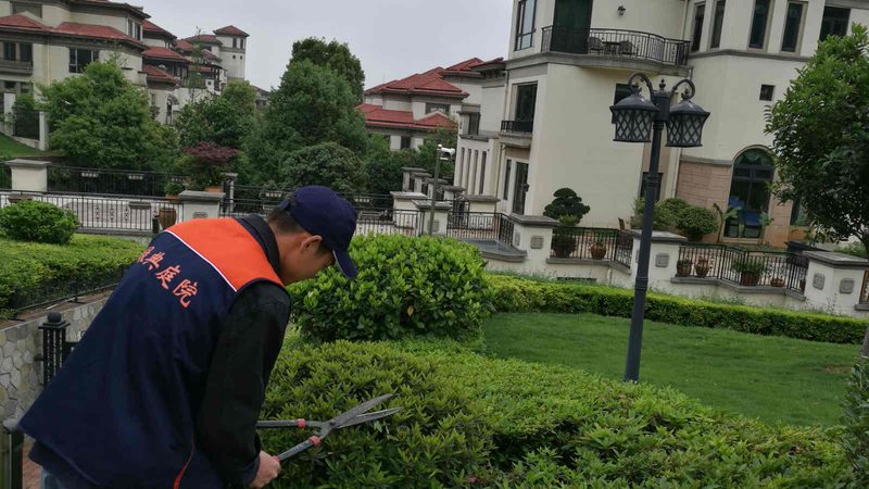 零基础也能掌握的苗木种植技术核心要点