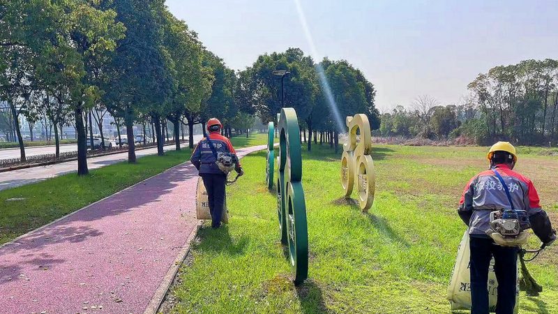 补播草籽，如何选择品种更合适？**