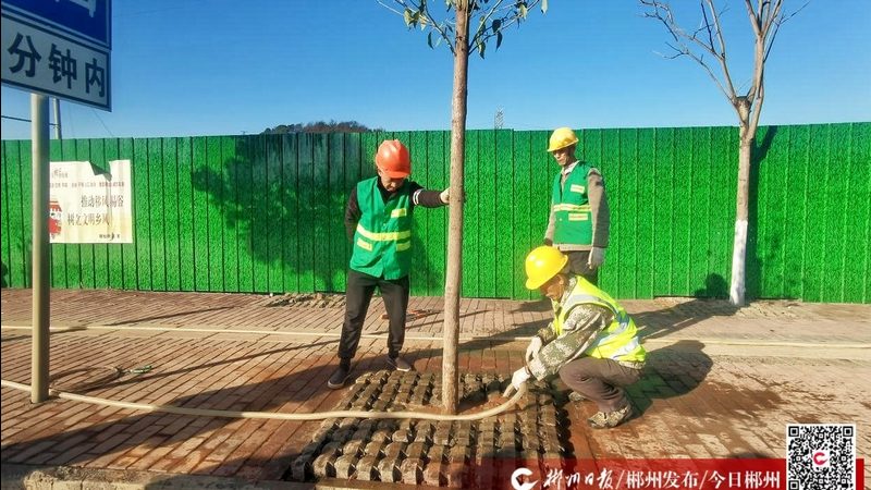 客土喷播机：揭秘其原理与选购要点