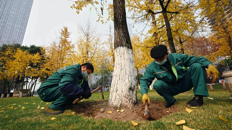 培训内容：优质的苗木种植技术培训课程应包含以下内容：