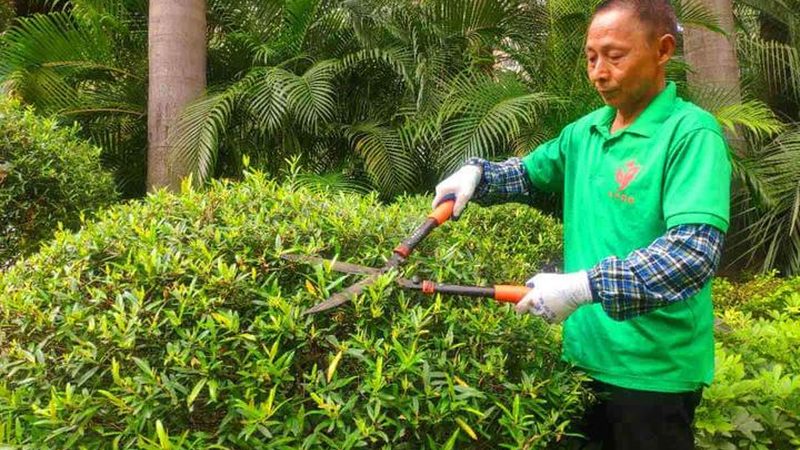 私家花园草坪铺设，价格几何？揭秘影响成本的关键因素**