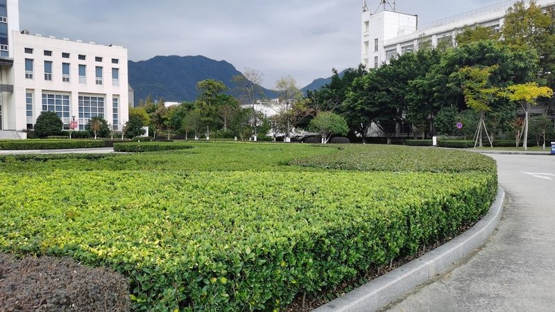 会议花卉租摆，如何制定合理的报价单？**
