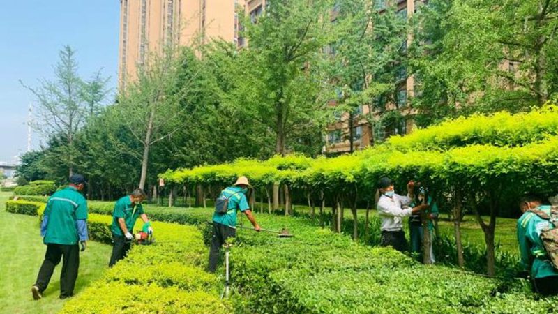 别墅小区绿化景观设计：如何打造宜居生态家园**