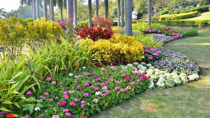 商场立体绿化：仿真植物与真植物的优劣对比**